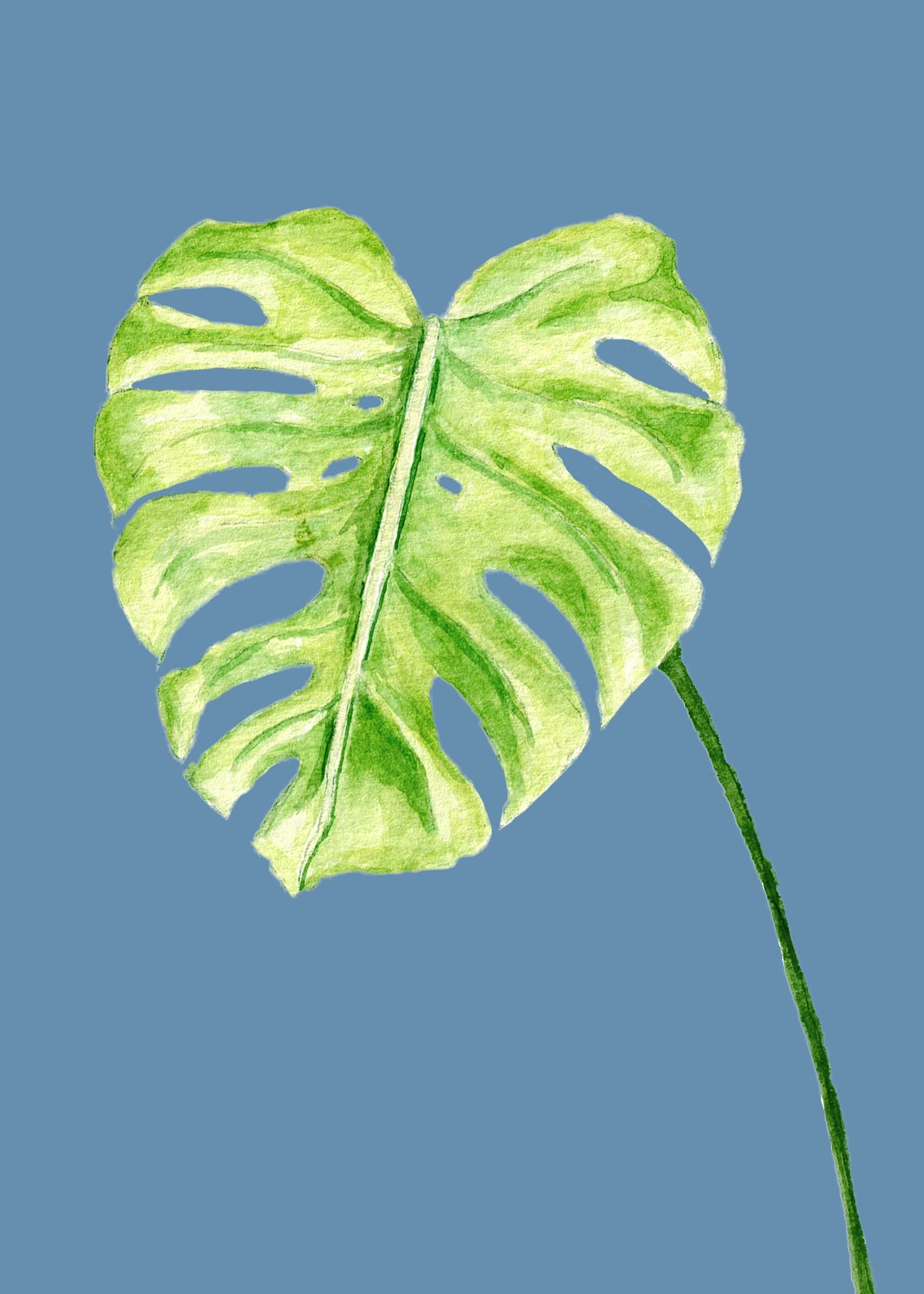 Monstera Leaf — watercolor